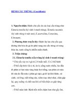 BỆNH CẦU TRÙNG: (Coccidiosis) pot