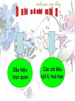 Báo cáo: Dấu hiệu ô nhiễm biển pps