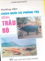 Hướng dẫn chăn nuôi và phòng trị bệnh trâu bò part 1 pps