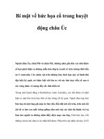 Bí mật về bức họa cổ trong huyệt động châu Úc pps