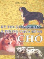 Kỹ thuật nuôi dạy và phòng chữa bệnh chó part 1 pptx