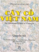 Cây cỏ Việt Nam tập 3 part 1 potx