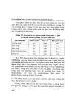 Kỹ thuật phát triển Cà phê Chè đạt hiệu quả kinh tế cao part 5 pdf