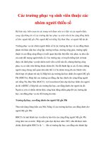 Các trường phục vụ sinh viên thuộc các nhóm người thiểu số ppsx