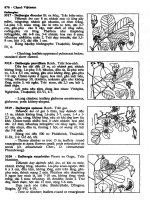 Cây cỏ Việt Nam tập 1 part 9 doc