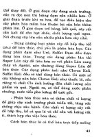 Bác sĩ cây trồng : Kỹ thuật gieo trồng và chăm sóc cây part 5 pptx