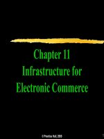 Chapter 11: Infrastructure for Electronic Commerce ppsx