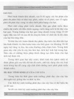 Giáo trình công nghệ trồng trọt part 5 pdf