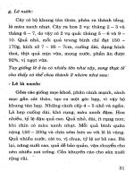 Kỹ thuật trồng cây ăn quả hiệu quả kinh tế cao tập 2 part 4 docx