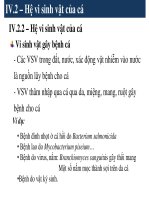 Bài giảng vi sinh thực phẩm part 9 ppsx