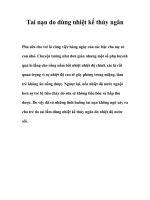 Tai nạn do dùng nhiệt kế thủy ngân pot