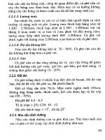 Kỹ thuật tưới tiêu nước cho một số cây công nghiệp part 3 pot