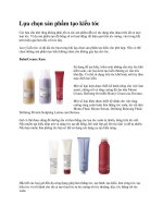 Lựa chọn sản phẩm tạo kiểu tóc pdf