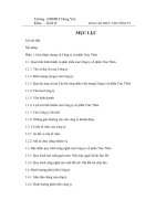 Báo cáo Thực tập tại công ty cổ phần Trúc Thôn