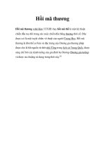 Hồi mã thương potx