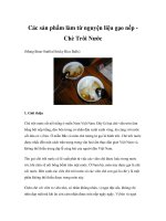Các sản phẩm làm từ nguyện liệu gạo nếp - Chè Trôi Nước doc