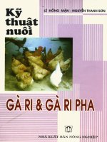 Kỹ thuật nuôi gà ri và gà ri pha part 1 ppsx