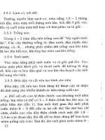 Kỹ thuật trồng tiêu và đậu xanh part 2 doc