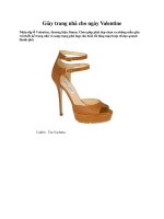 Giày trang nhã cho ngày Valentine pdf