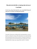 Nằm dài trên bãi biển và thưởng thức hải sản ở Cam Ranh doc