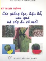 Kỹ thuật trồng các giống lạc, đậu đỗ, rau quả và cây ăn củ mới part 1 pdf
