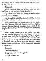 Kỹ thuật trồng cà chua part 5 ppt