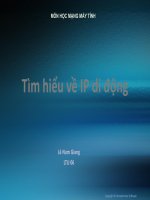 Tìm hiểu về IP di động pps