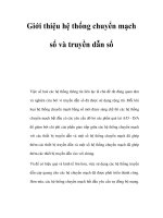 Giới thiệu hệ thống chuyển mạch số và truyền dẫn số pot