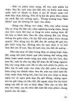 Kỹ thuật trồng, chiết, ghép, giâm cành Hoa hồng part 7 pdf