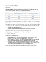 ĐỀ THI MÔN KINH TẾ VĨ MÔ 2010 pptx