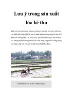 Lưu ý trong sản xuất lúa hè thu pps