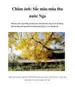 Chùm ảnh: Sắc màu mùa thu nước Nga potx