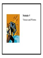 Module V Viruses and Worms.Introduction to VirusComputer viruses are perceived as a threat to potx