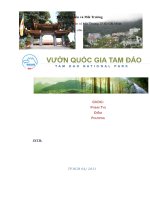 Vườn Quốc Gia Tam Đảo pot
