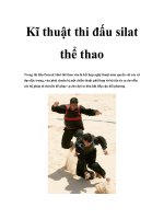 Kĩ thuật thi đấu silat thể thao pot