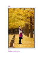 Chỉnh sửa Photoshop: Blend mùa thu doc