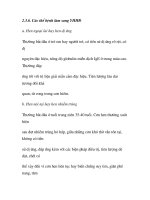 quá trình hình thành và phương pháp điều trị bệnh hen phế quản dinh nghĩa OMS trong y học p4 ppt