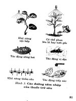 Bác sĩ cây trồng : Thuốc bảo vệ thực vật part 3 pdf