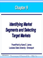 Chapter 9 - Identifying Market Segments and Selecting Target Markets doc