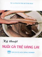 Kỹ thuật nuôi cá trê vàng lai part 1 docx