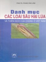 Danh mục các loài sâu hại lúa và thiên địch của chúng part 1 pot