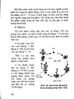 Kỹ thuật trồng rau ăn lá, rau ăn hoa, rau gia vị part 6 ppsx