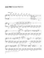 Bản nhạc Final Fantasy 9 ppsx