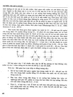 Hạt điều - Sản xuất và chế biến part 3 potx