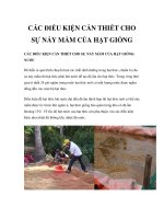 CÁC ĐIỀU KIỆN CẦN THIẾT CHO SỰ NẢY MẦM CỦA HẠT GIỐNG potx