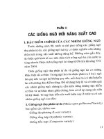 Kỹ thuật trồng ngô giống mới và năng suất cao part 2 pptx