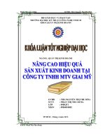Nâng cao hiệu quả sản xuất kinh doanh tại công ty TNHH một thành viên Giai Mỹ
