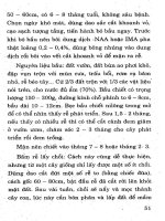 Kỹ thuật trồng cây ăn quả hiệu quả kinh tế cao tập 2 part 6 ppt