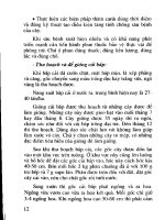 Kỹ thuật trồng rau ăn lá, rau ăn hoa, rau gia vị part 2 ppsx