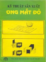 Kỹ thuật sản xuất ong mắt đỏ part 1 pot